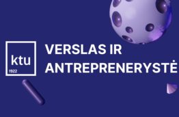 Ką veikia antrepreneris?